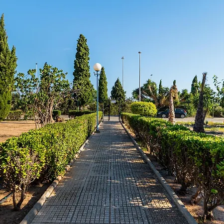 The Lemon Tree House Hébergement de vacances Torrevieja