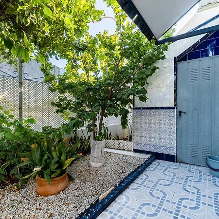 The Lemon Tree House *