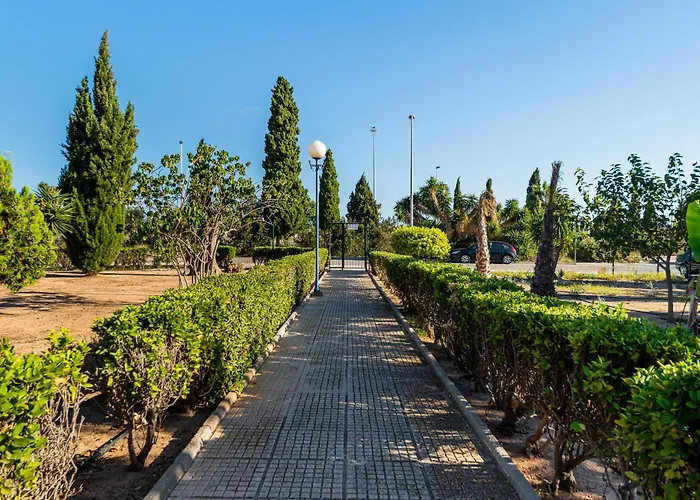 The Lemon Tree House Vakantiehuis Torrevieja