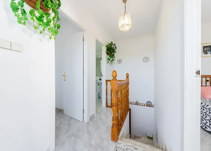 The Lemon Tree House *